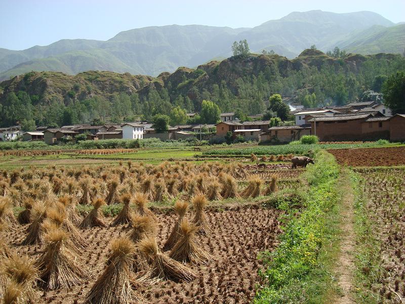 白泥村田園山村