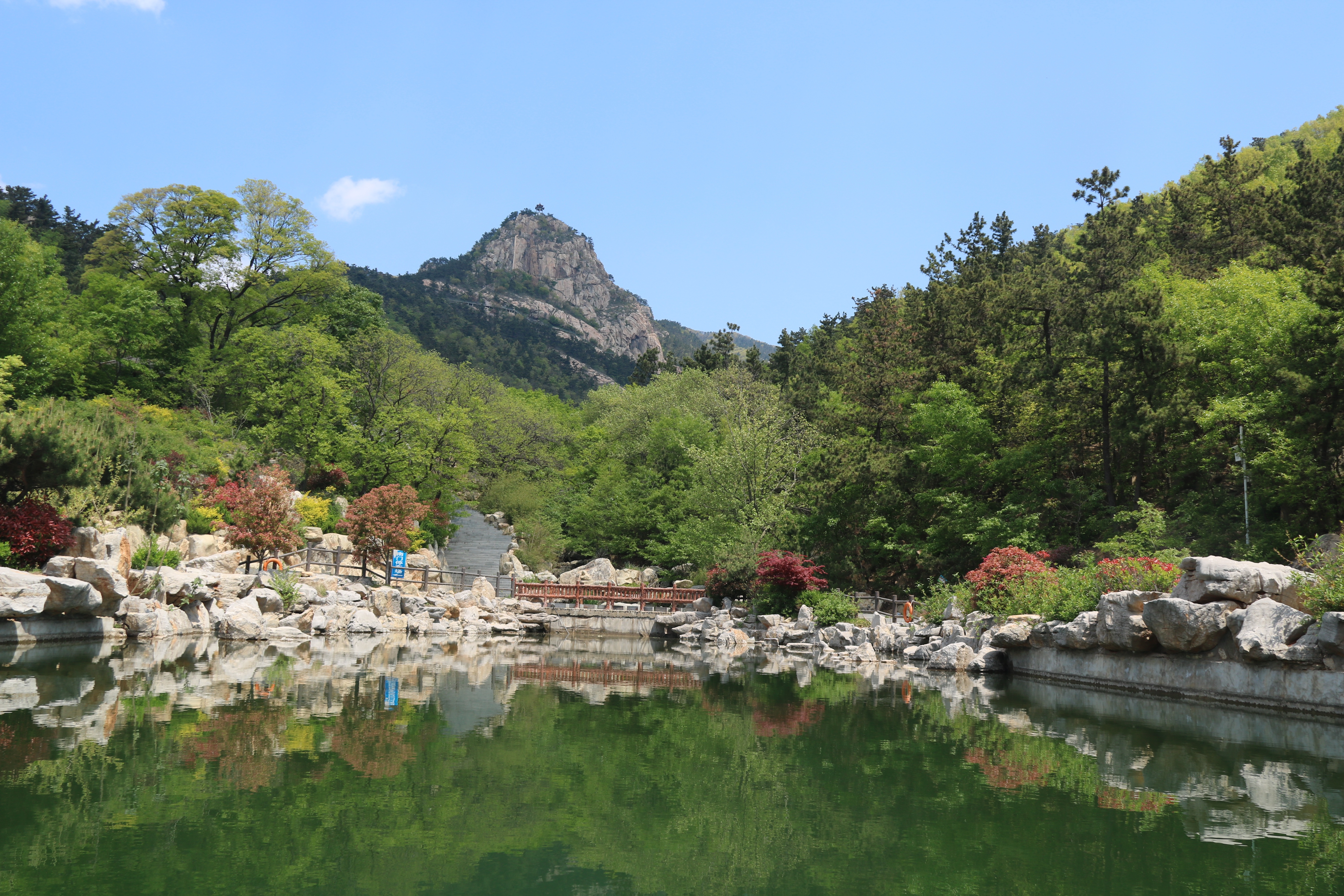 費縣國有林場總場