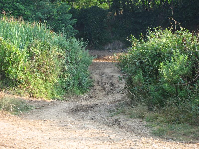 進村道路