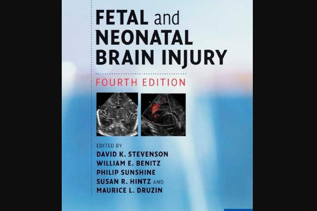 Fetal and Neonatal Brain Injury