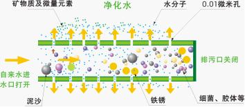 沃瑪特