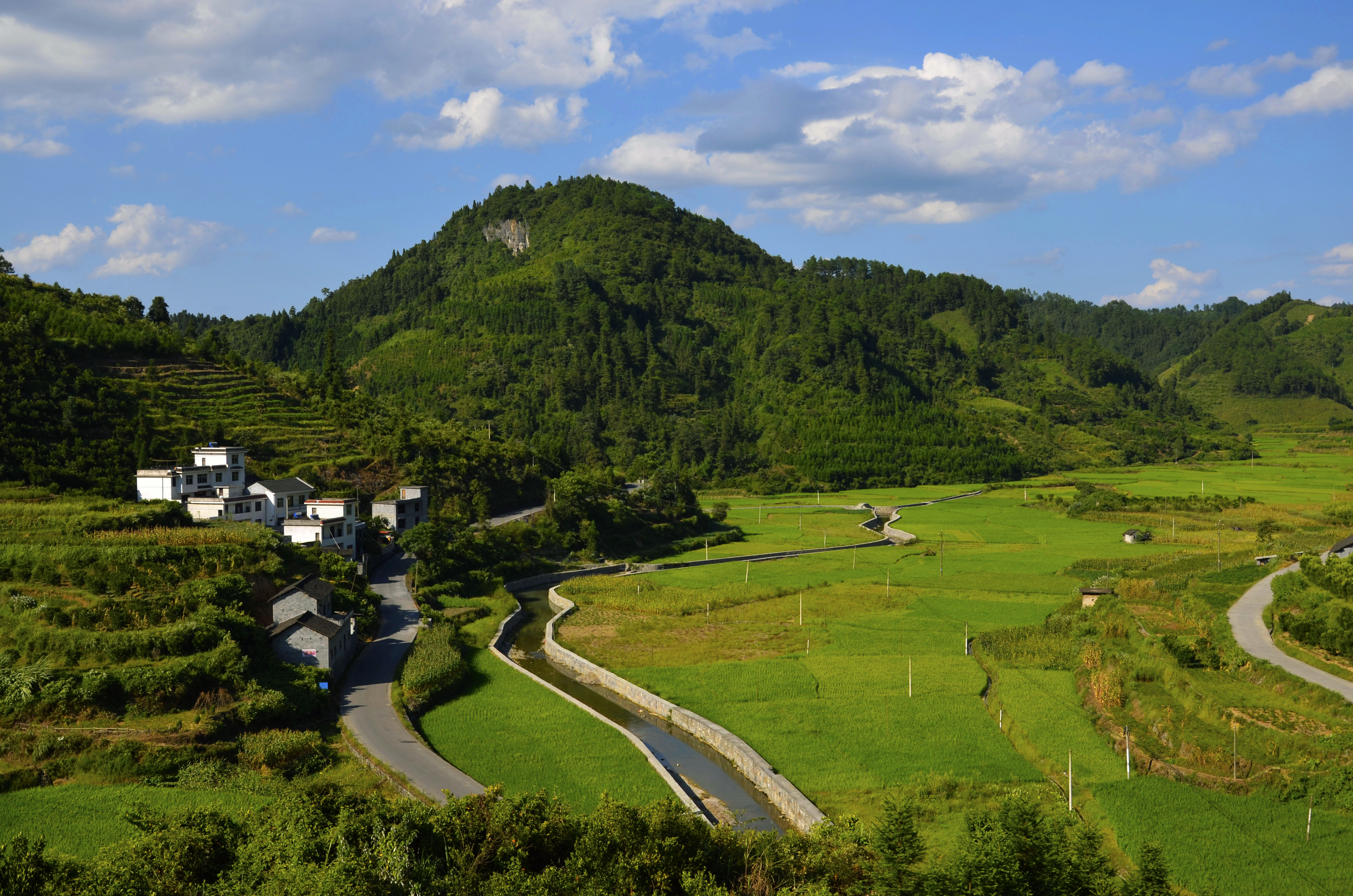 水田村