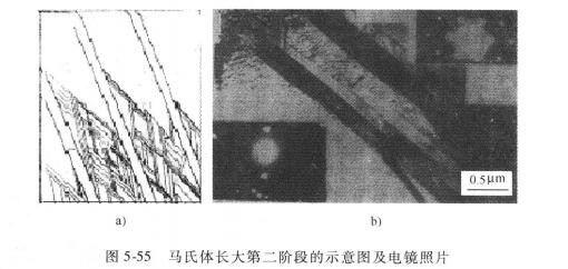 馬氏體組織(稻葉散鐵)