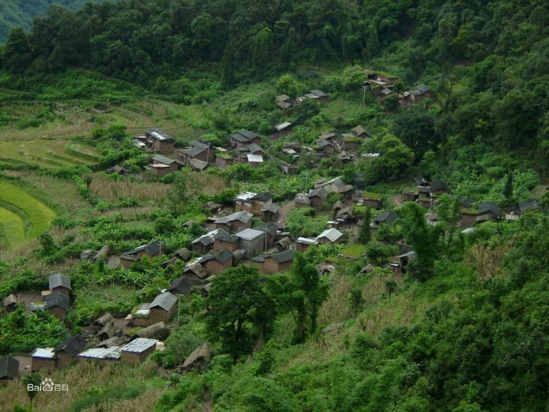 荒田村(雲南省麻栗坡縣八布鄉荒田村)