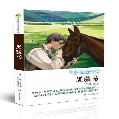 黑駿馬(2016年湖南少年兒童出版社出版的圖書)