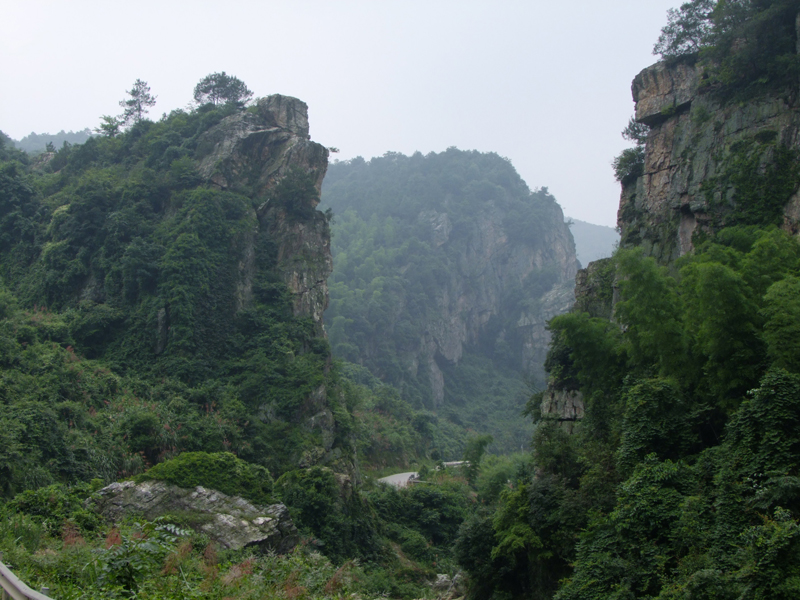 青羊湖國有林場