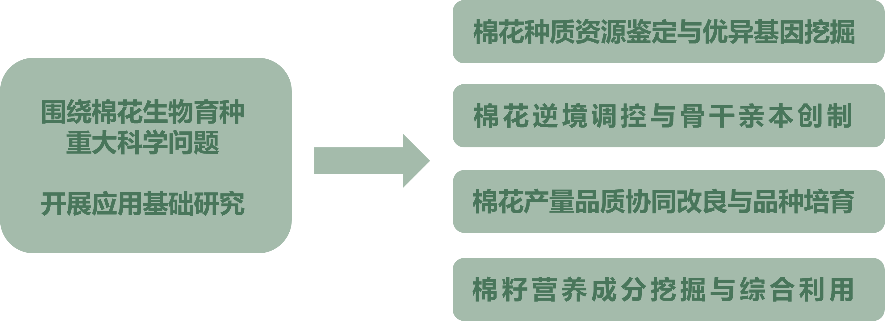 棉花生物育種與綜合利用全國重點實驗室