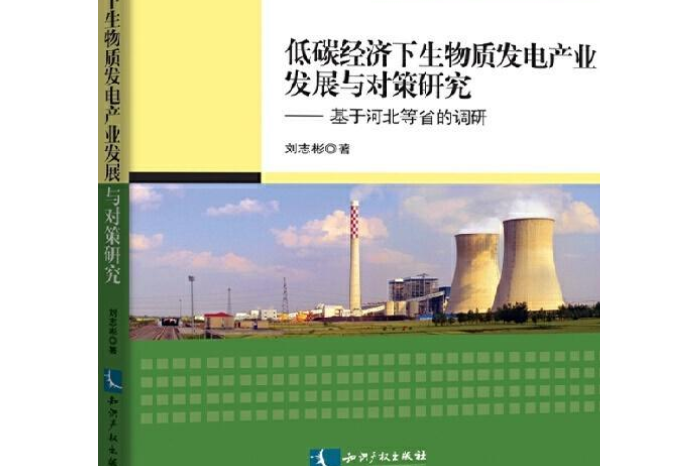 低碳經濟下生物質發電產業發展與對策研究——基於河北等省的調研