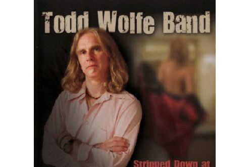 Light of Day(Todd Wolfe Band演唱的歌曲)