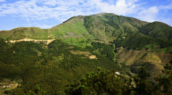 大芹山