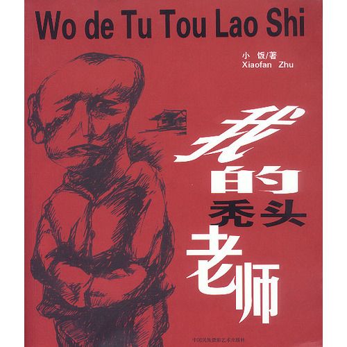 我的禿頭老師(2003年中國民族攝影藝術出版社出版的圖書)