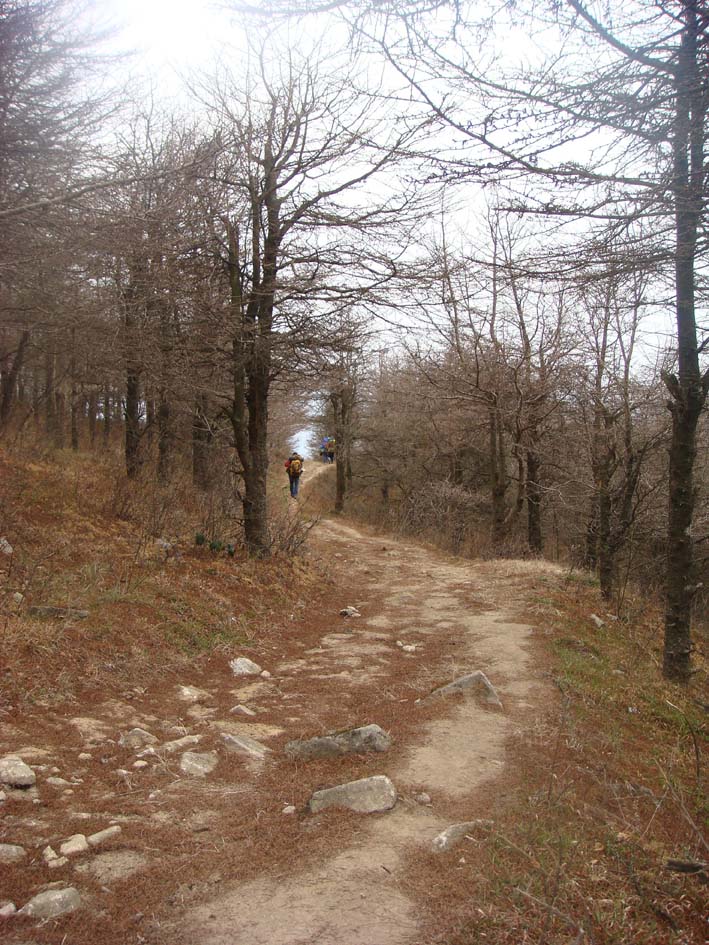 漫漫雲山路