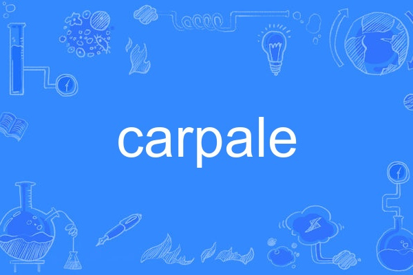 carpale