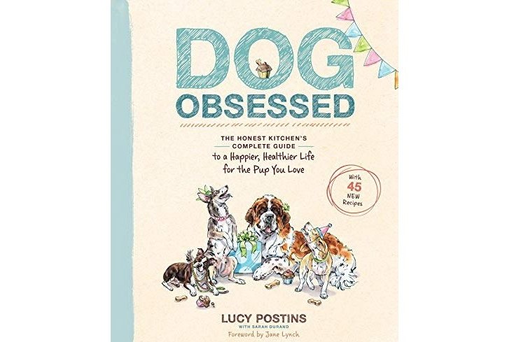 Dog Obsessed: The Honest Kitchen\x27s Complete Guide to a Happier, Healthier Life for the Pup You Love