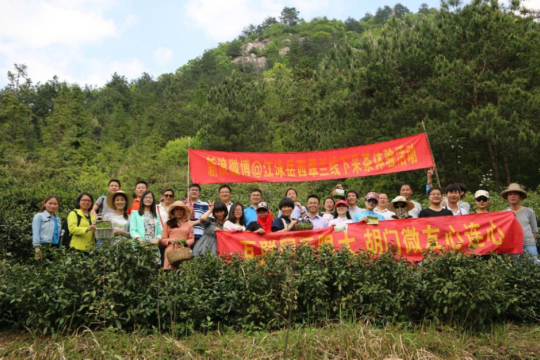 首屆大別山嶽西翠蘭採茶文化節