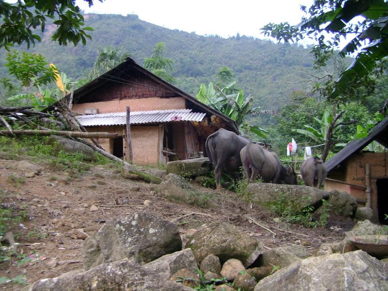 八底寨村