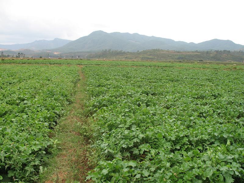 王官廠二村