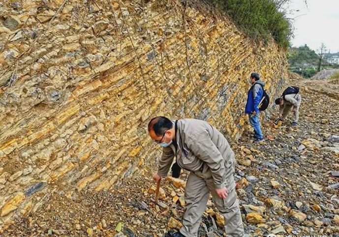 青岩古生物化石群