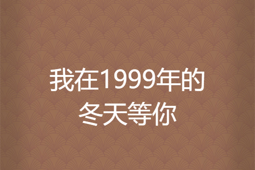 我在1999年的冬天等你