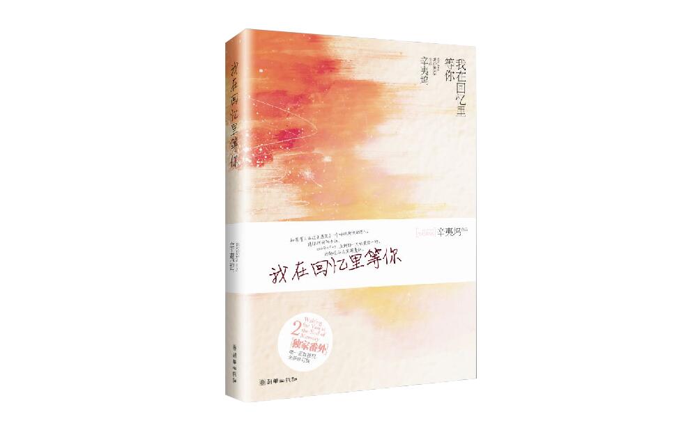 我在回憶里等你(2014年江蘇文藝出版社出版的圖書)