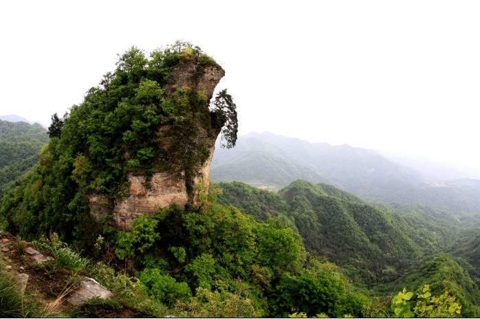 白楊坪（金蟾峽）生態旅遊區(金蟾峽景區)