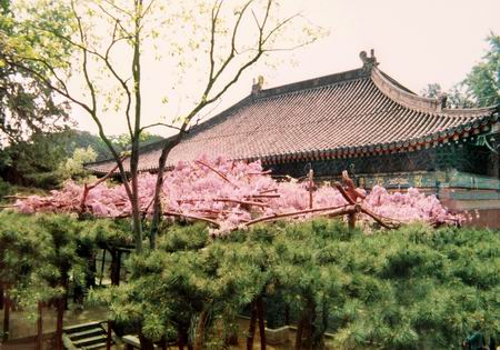 紅螺寺(寺廟)