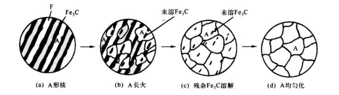 奧氏體