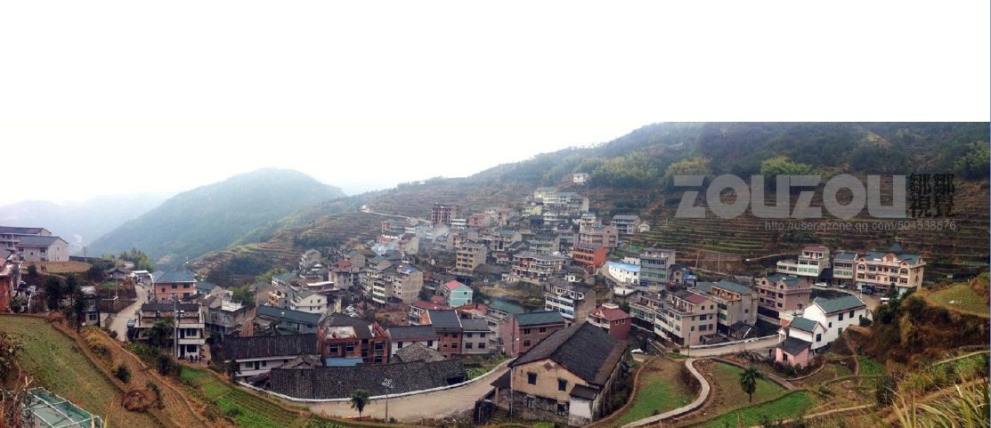 泉城村全景