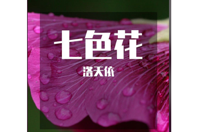 七色花(洛天依《洛天依精選集二》專輯中的歌曲)