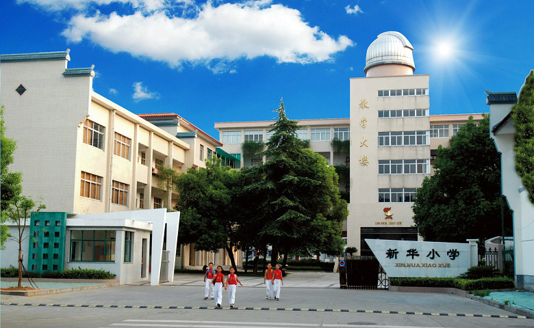 新華國小(寧夏銀川市永寧縣望洪鎮新華國小)