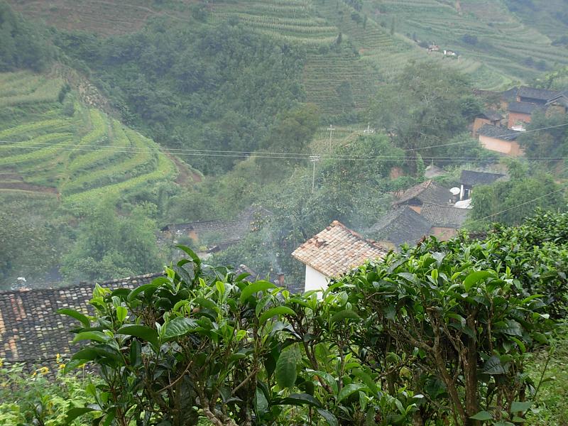 林場自然村(雲南富寧縣歸朝鎮下轄村)