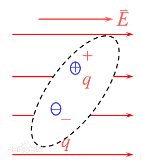 有極分子