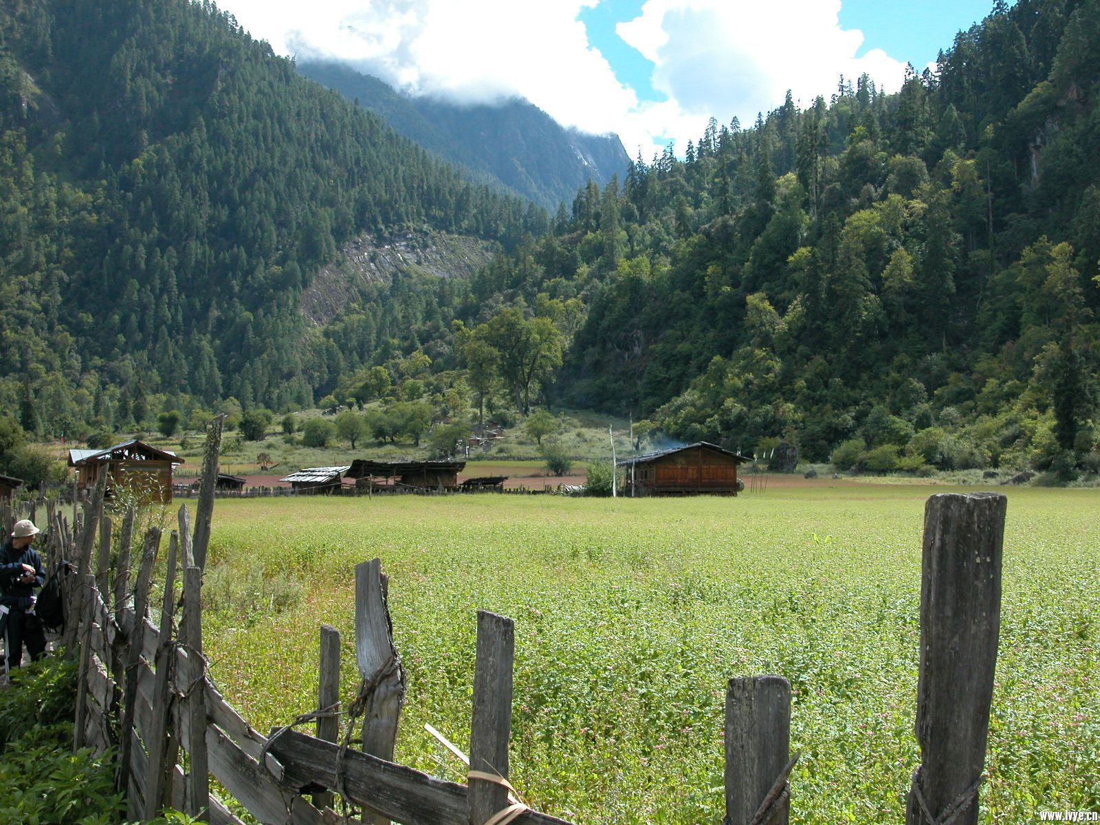 察隅河