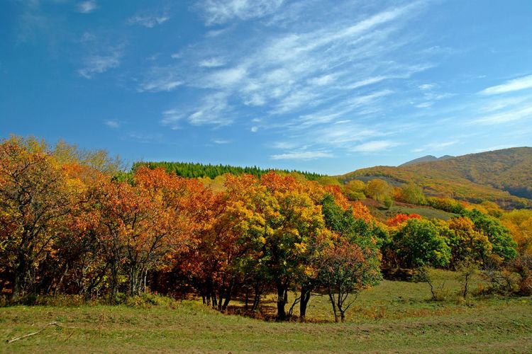 烏力吉沐淪河國家濕地公園