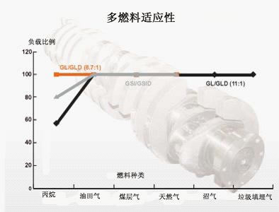 瓦克夏燃氣發電機