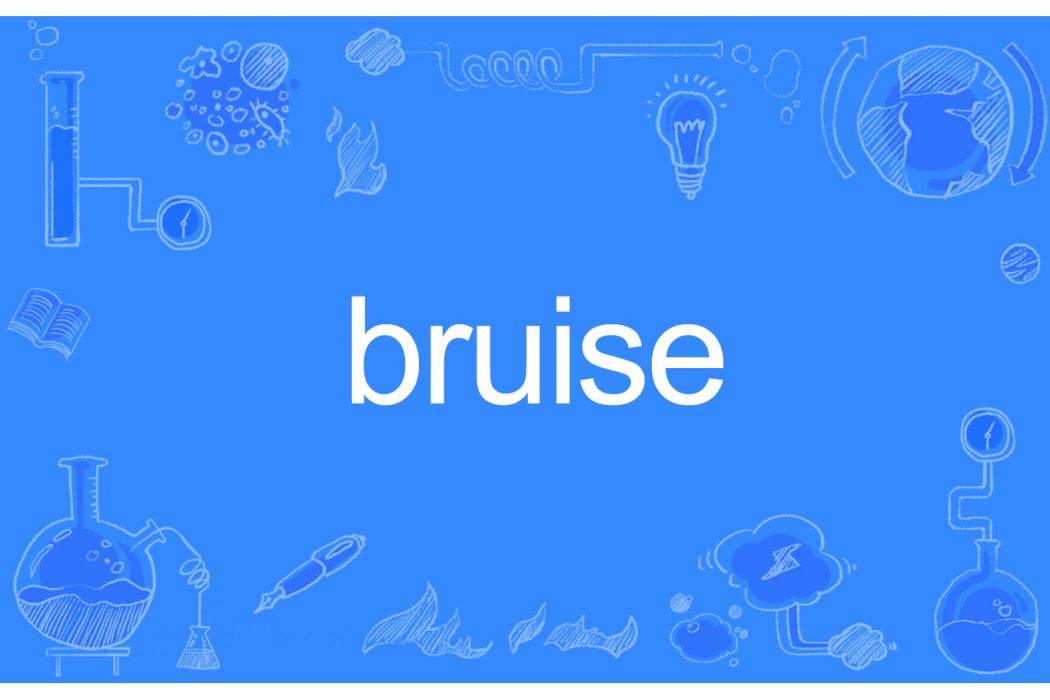 bruise(英文單詞)