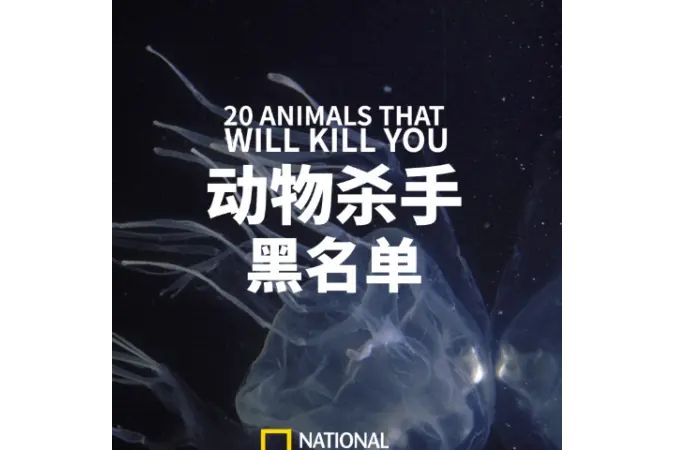 動物殺手黑名單