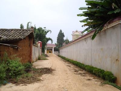 上墩村道路