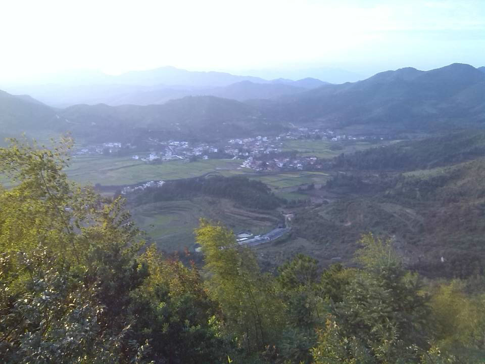 平林村