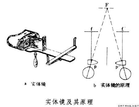 實體鏡