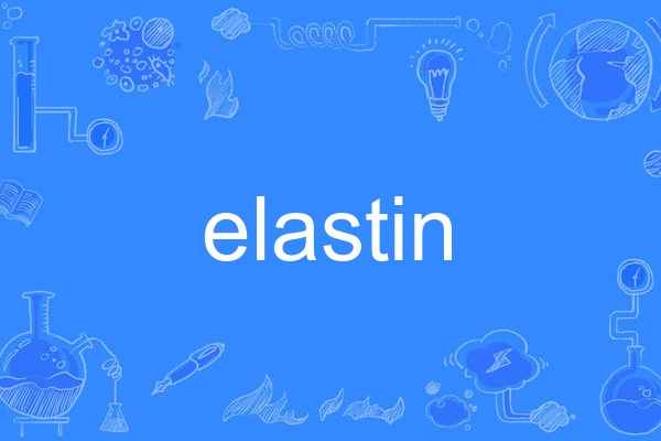 elastin