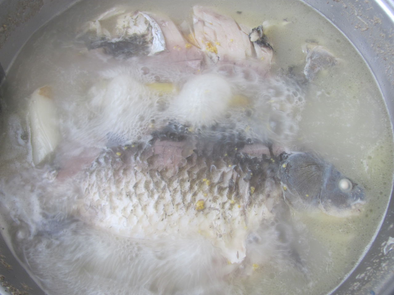 牛奶鯽魚湯