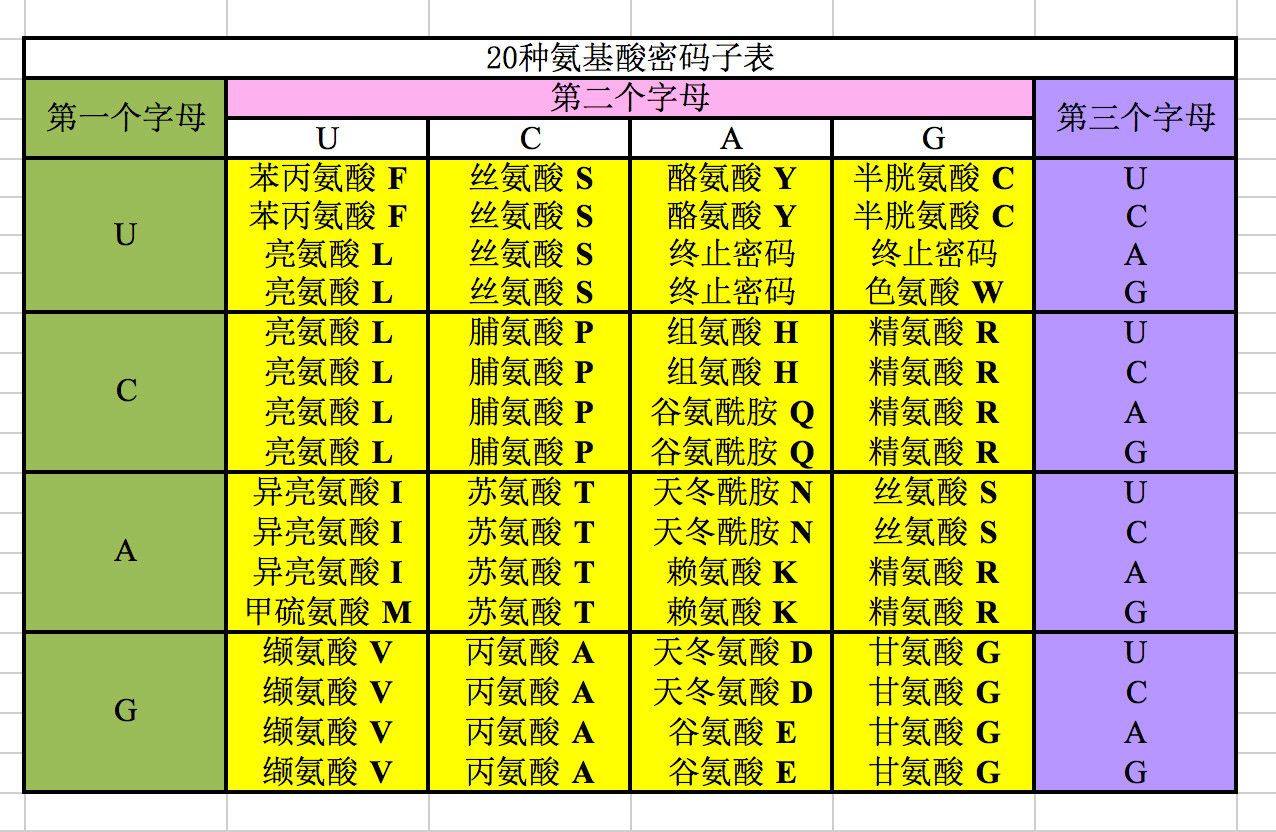 密碼子表