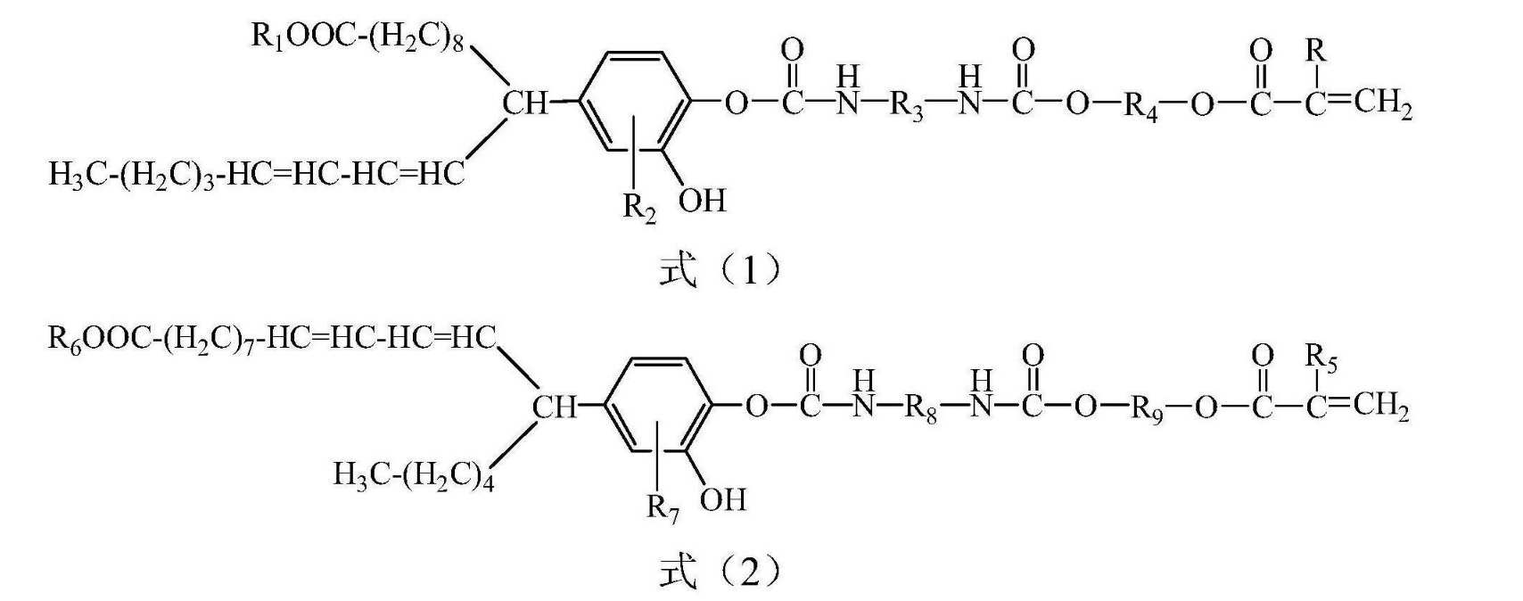 含雙鍵/酚羥基雙UV固化基團PUA預聚物及製備方法和套用