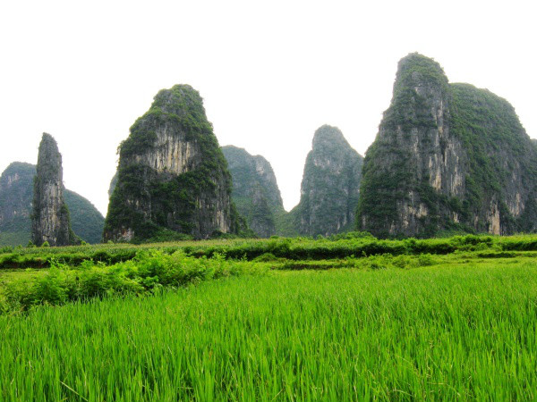 青山自然村(杉樹鄉細沙村委會下轄自然村)