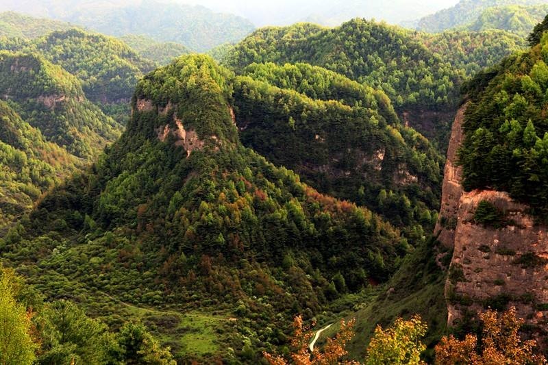 鳥鼠山(鳥鼠同穴)