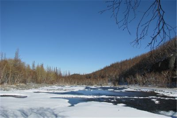 小城子鄉(黑龍江省雙鴨山市小城子鄉)