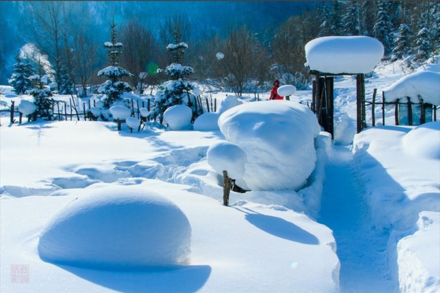 東北地區雪景