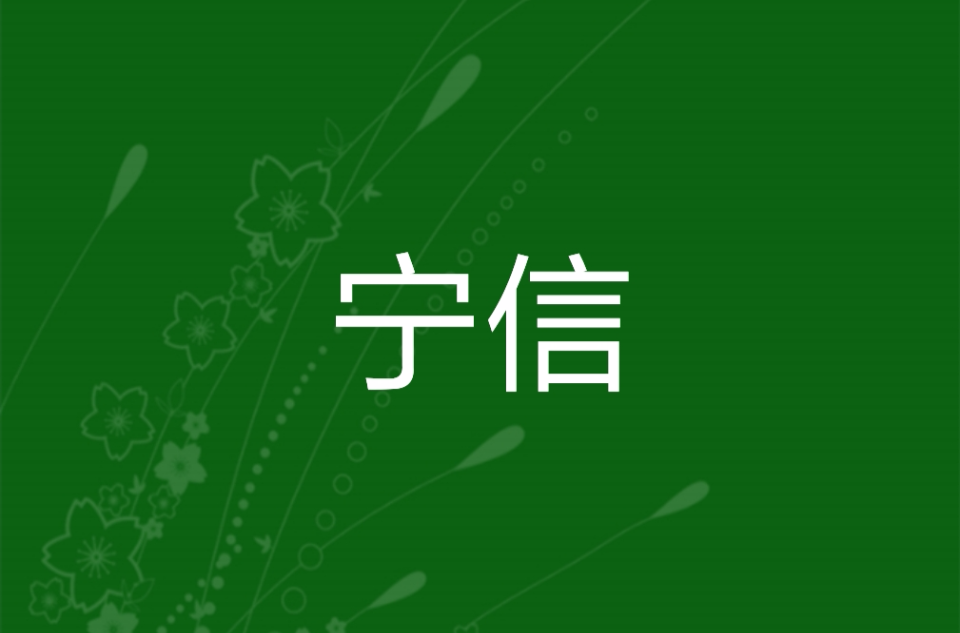 寧信(小說)