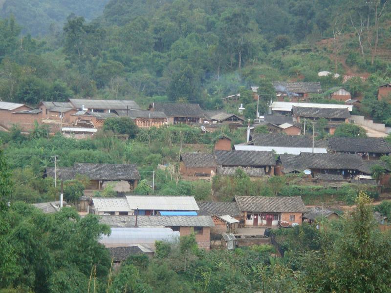 鳳梨村(雲南省普洱市思茅區倚象鎮下轄村)